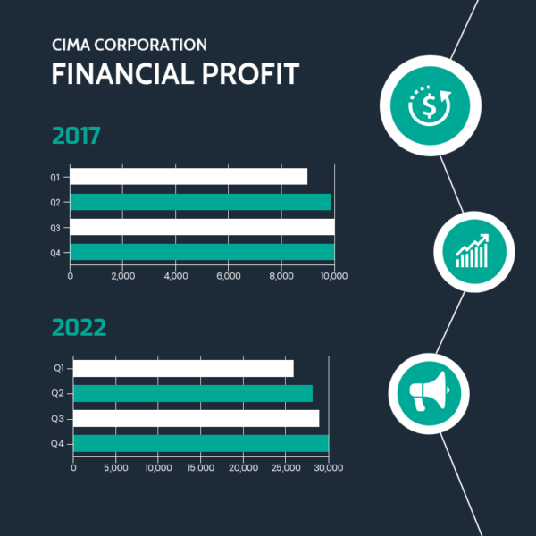 Profitability_Example_Venngage_1