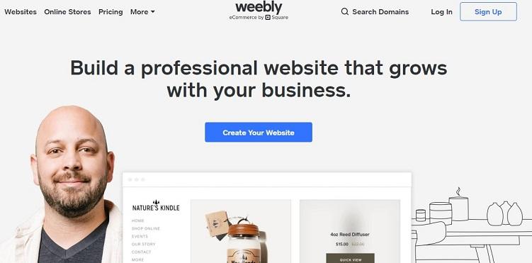 basic website by Weebly image