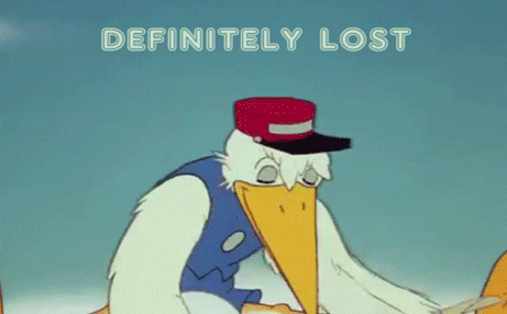 lost-pelican-gif