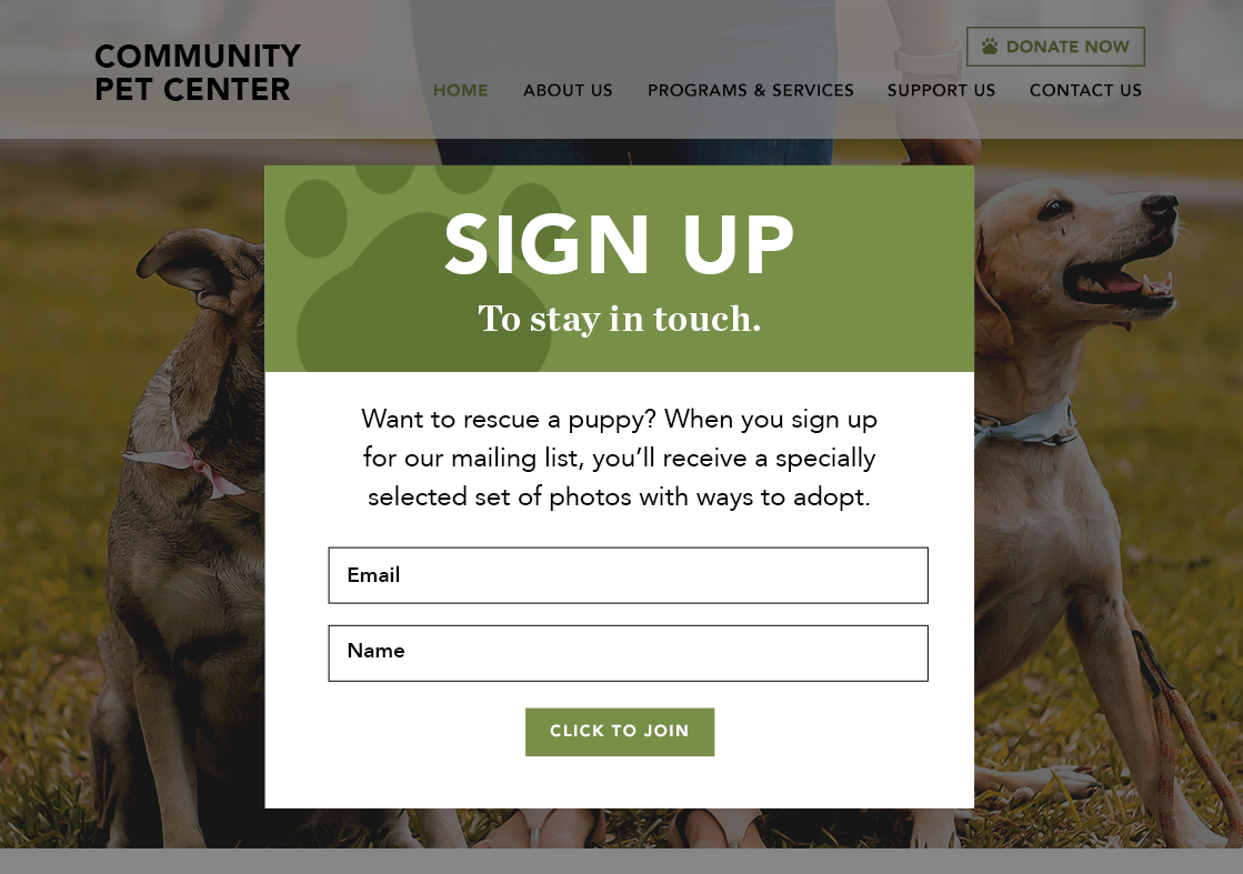 Example email signup form