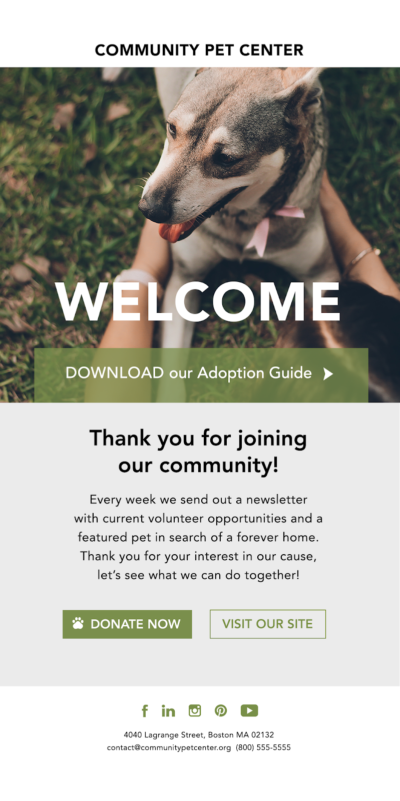 Example nonprofit thank you email