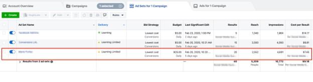 Facebook campaign budget optimization example results