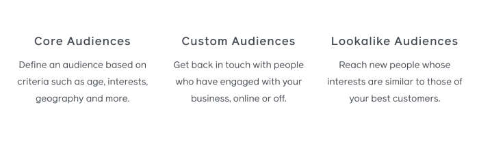 the different audiences on facebook advertising 