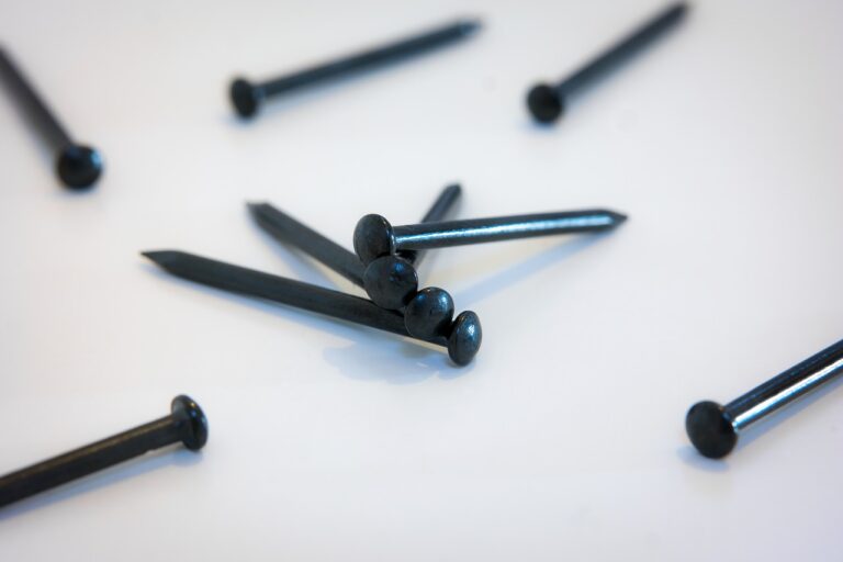 Shark Tank Safety Nailer Accepts 100,000 From Mark Cuban, Lori Greiner and Rohan Oza