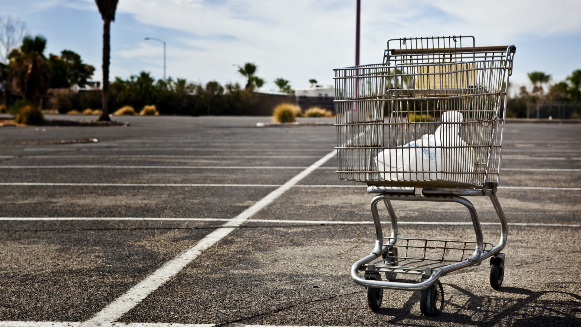 Customers abandoning shopping carts | Milia Marketing