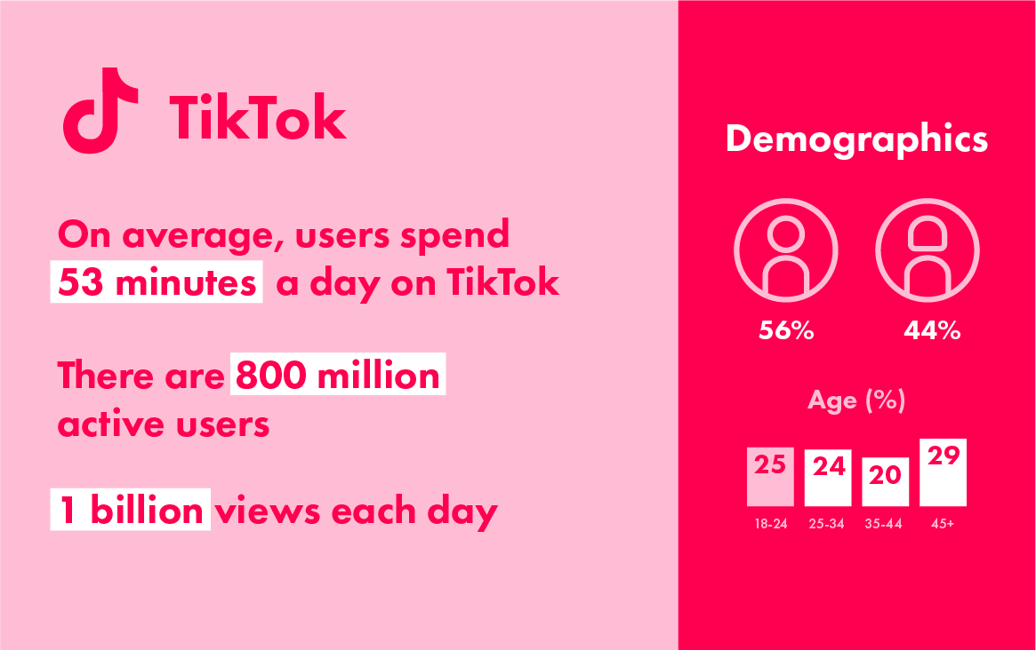 2020 TikTok demographics and statistics
