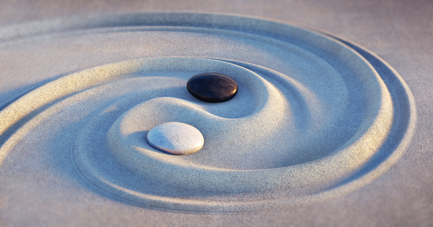Yin Yang Leadership