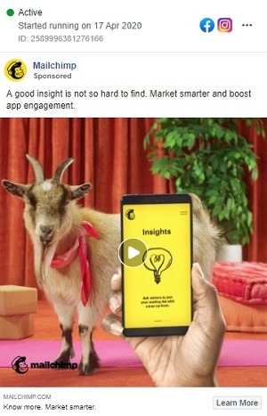 mailchimp facebook video ad example