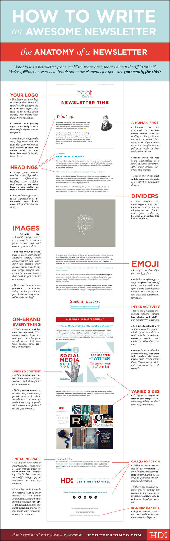 Newsletter Anatomy (Infographic)