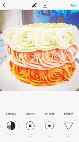 the same cake photo 