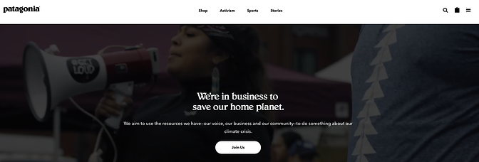 patagonia-activism-page