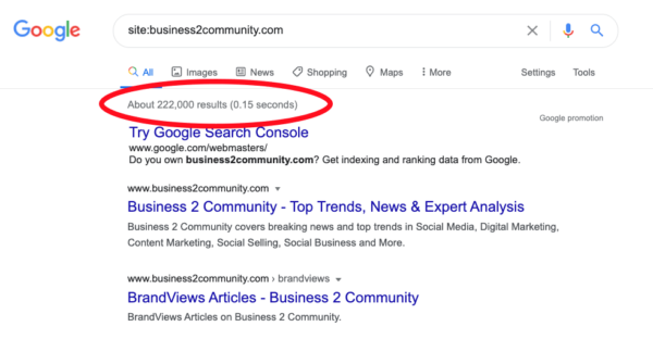 Google Indexed Pages