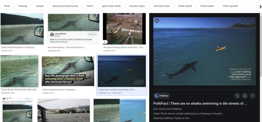 Screenshot of Google Query "Sharks swimming in street Houston