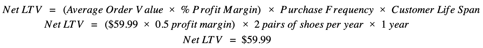 Net LTV Calculation Example