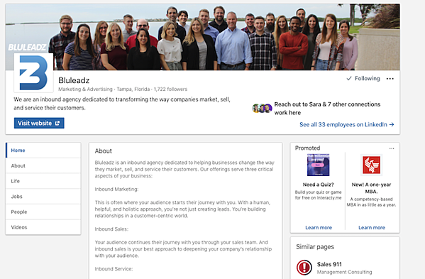 bluleadz-linkedin