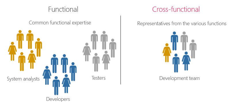 Function vs Cross functional teams. 