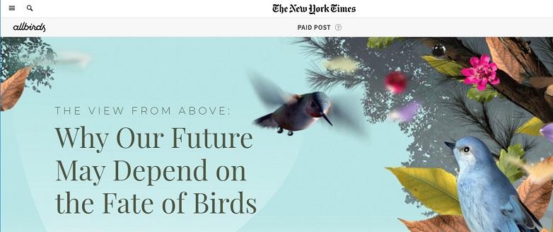interactive content example: Allbird NYT paid post