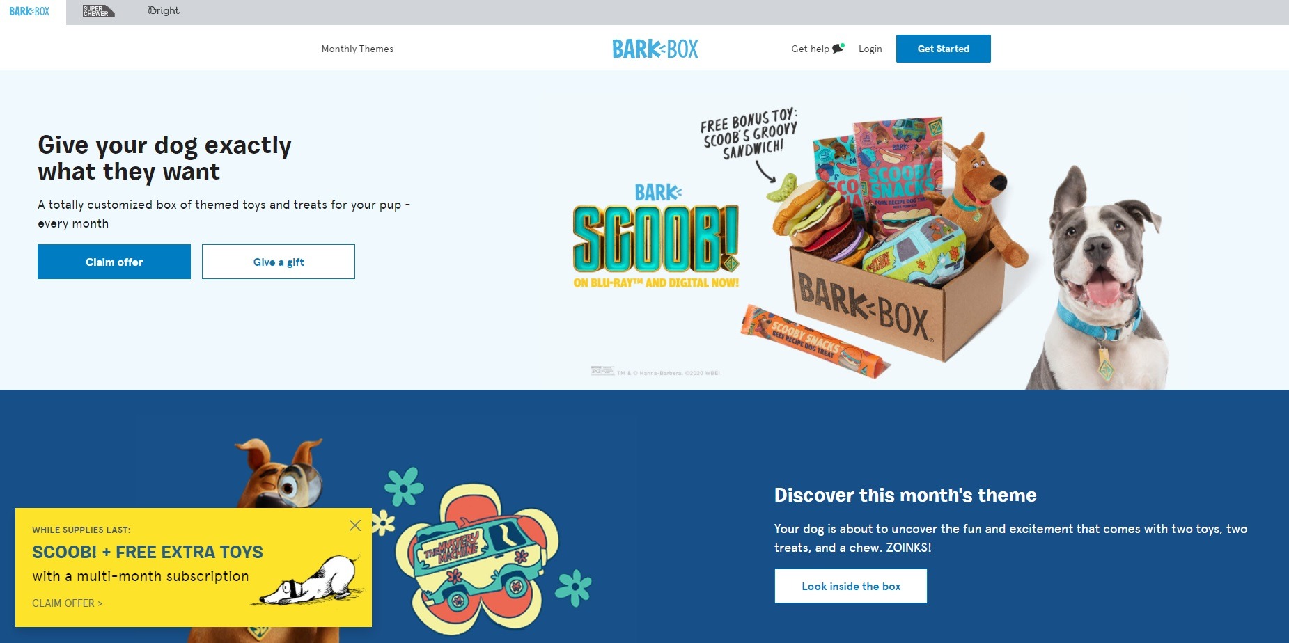 bark box online store copy example