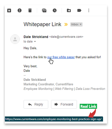 A screenshot of an email. It has a link that says "Hey Dale, heres the link to our free white paper that you asked for!". The link it leads to is seen at the bottom with a note that says "Real Link".