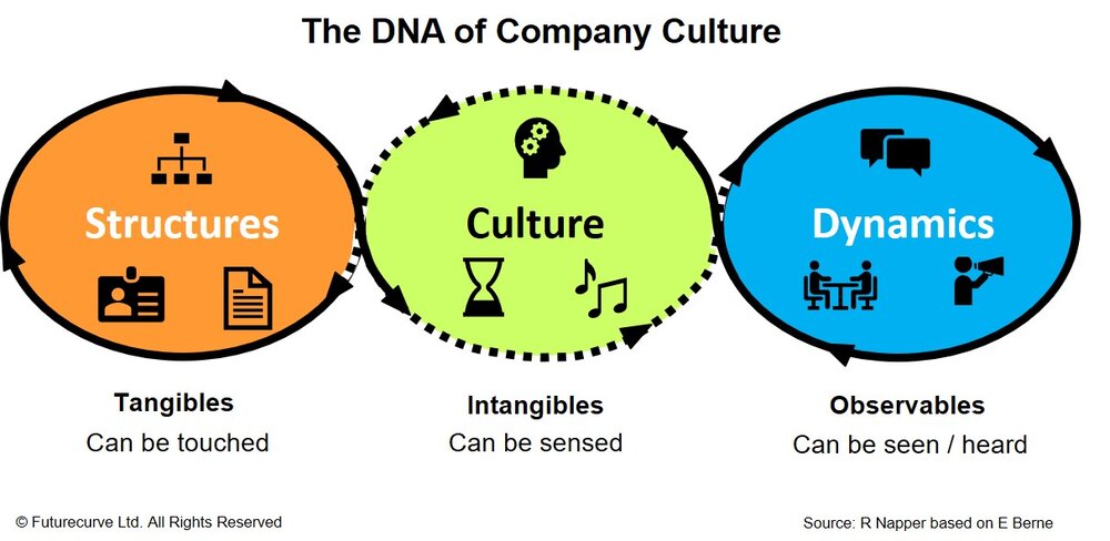 DNA-of-company-culture.jpg