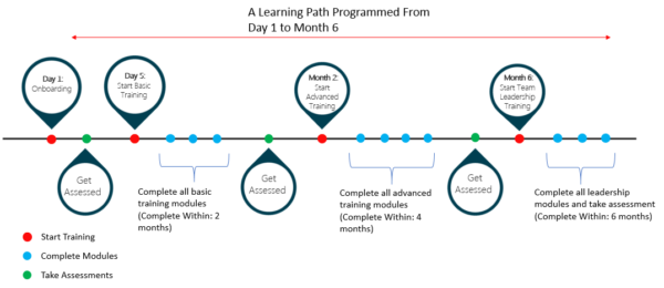 learning path programmed