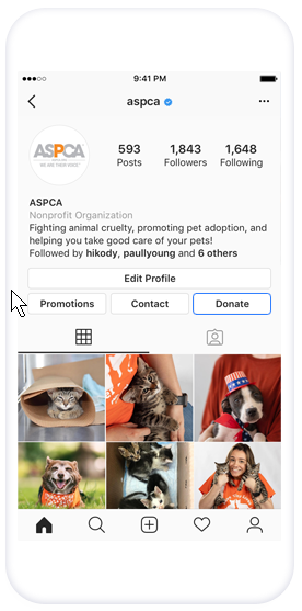 Instagram Fundraising using donate button