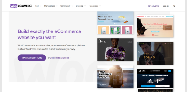 what-is-woocommerce