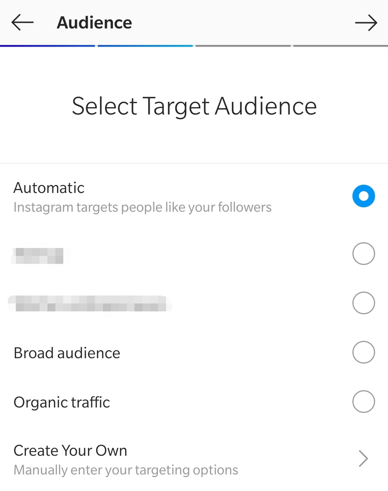Target audience for Instagram promotions