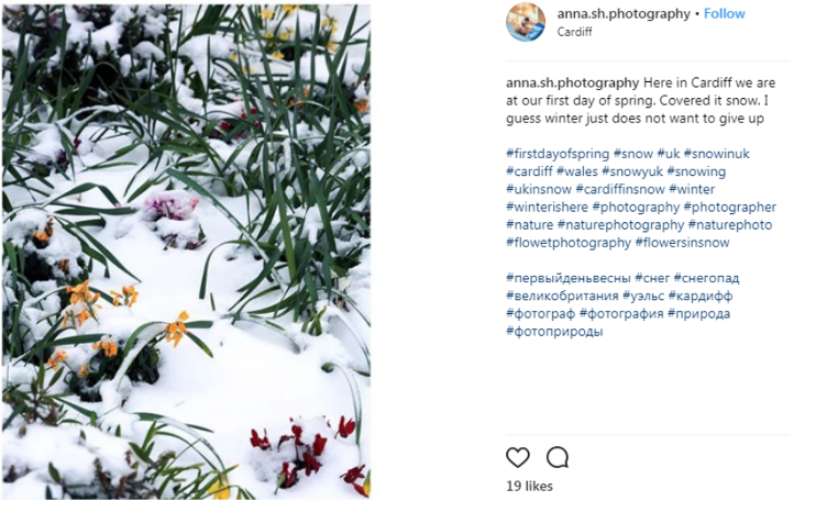 March marketing ideas first day of spring 2