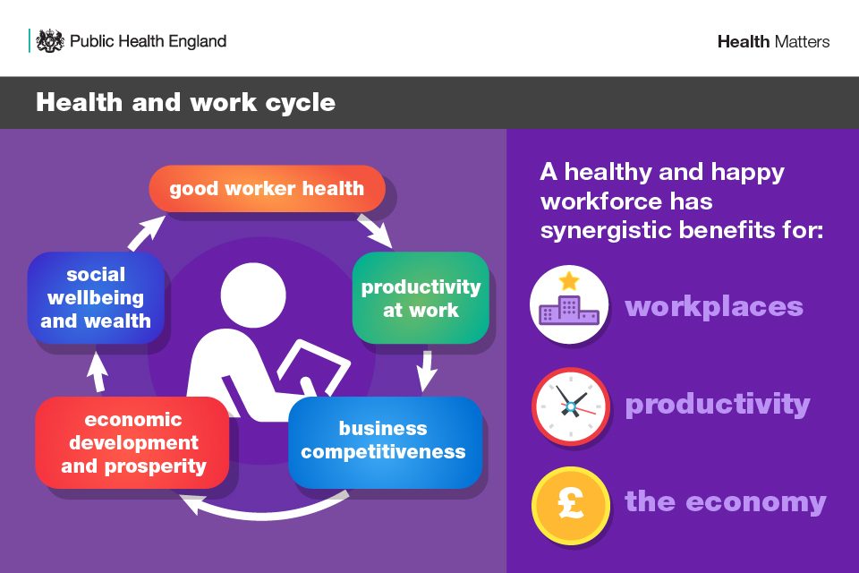 Health and work cycle
