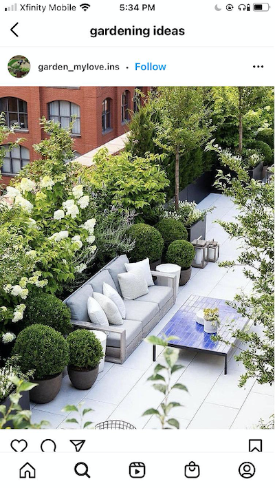 instagram-seo-gardening-ideas-vegetable