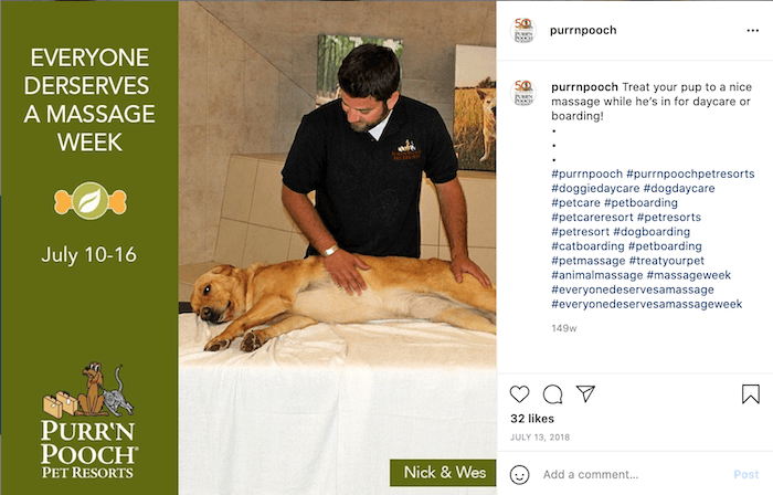 july marketing ideas everyone deserves a massage week dog getting massage