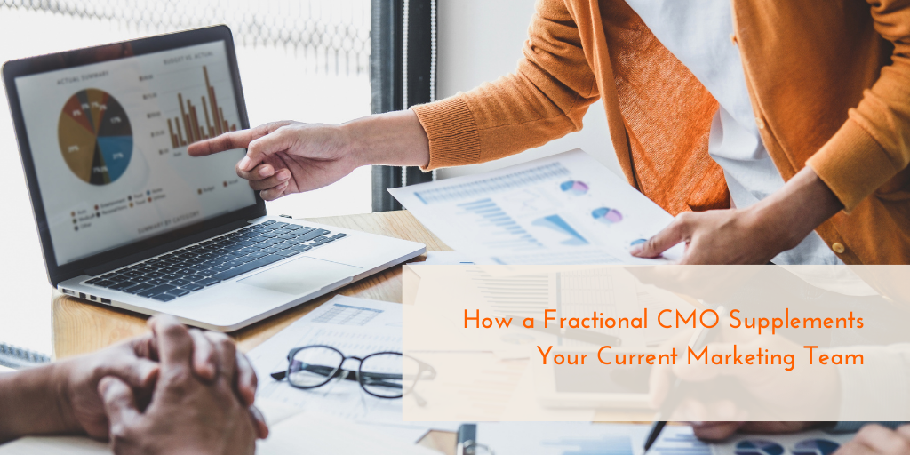 fractional CMO supplements marketing team