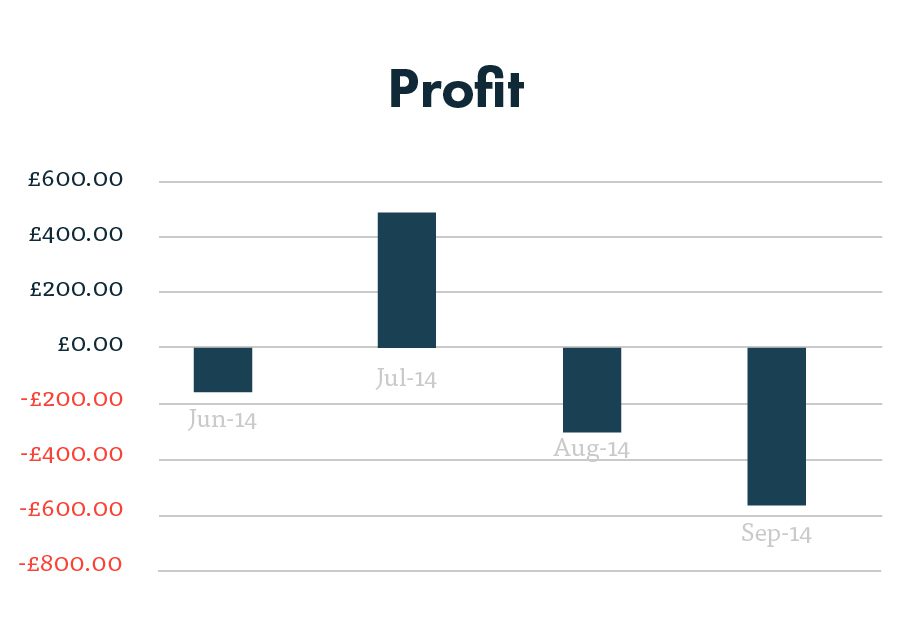 PPC profit graph after 4 months