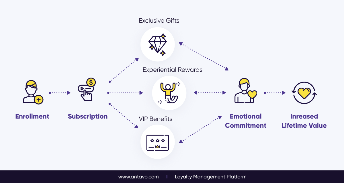 A schematic showing how different elements make subscription loyalty programs work.