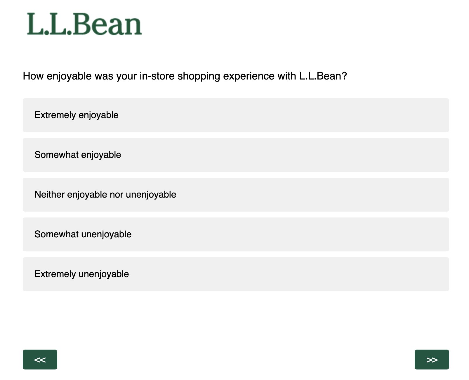 L.L. Bean qualitative customer survey