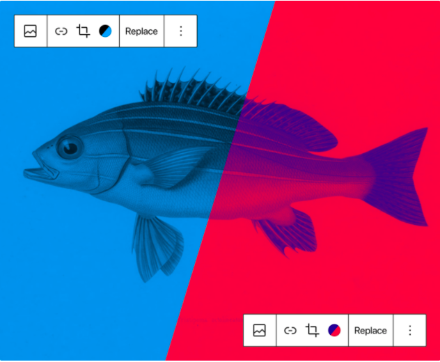 The picture depicts a fish graphic using aqua and magenta colorized duotone, a new option available as part of the latest WordPress version.