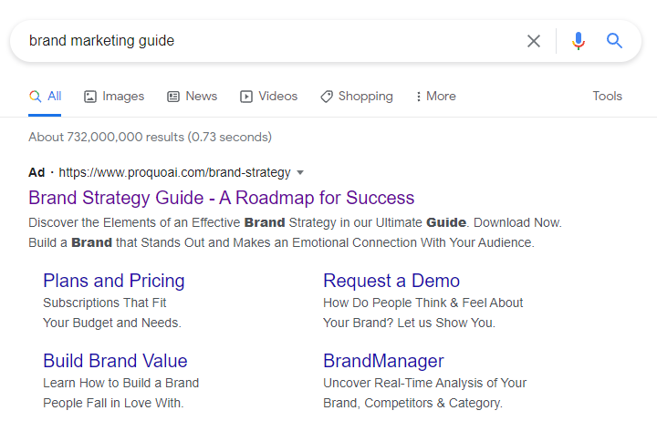 SERp results page with content for "brand marketing guides"