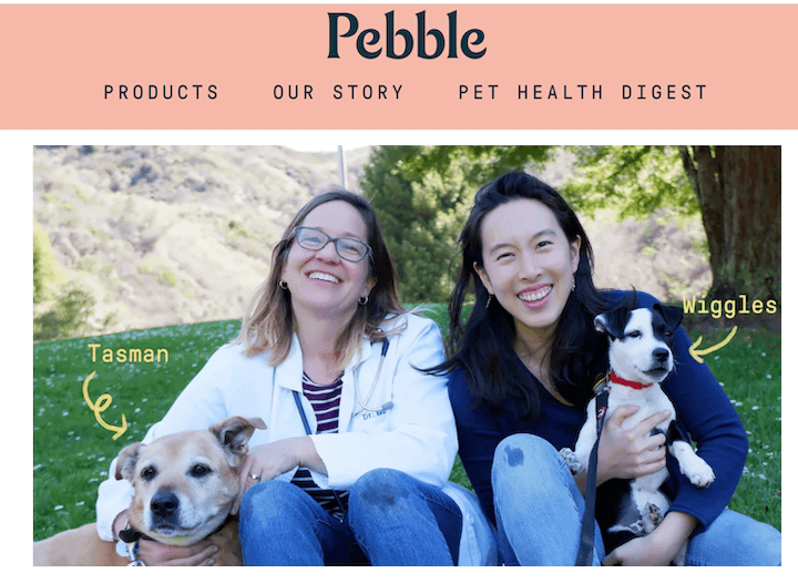 Pebble | Example of an Easy Small Pet Care Business 