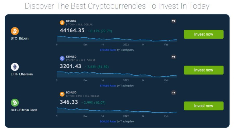 bitcoin cash bot bróker