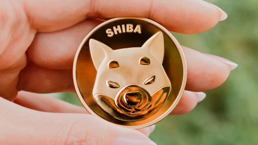 Shiba Inu Gift Chill
