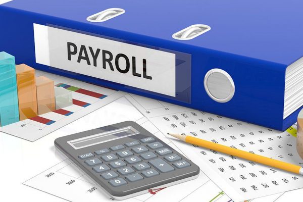 how does payroll software work