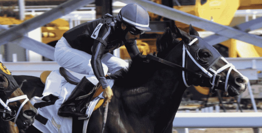 Silks thoroughbred horse racing