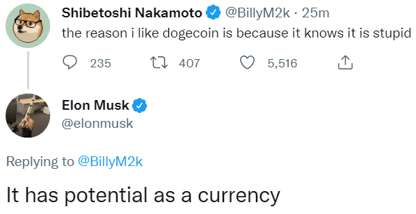 Elon Musk Dogecoin Potential Currency