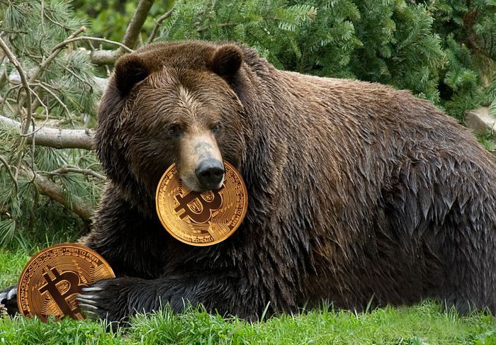 Bitcoin Price Bears