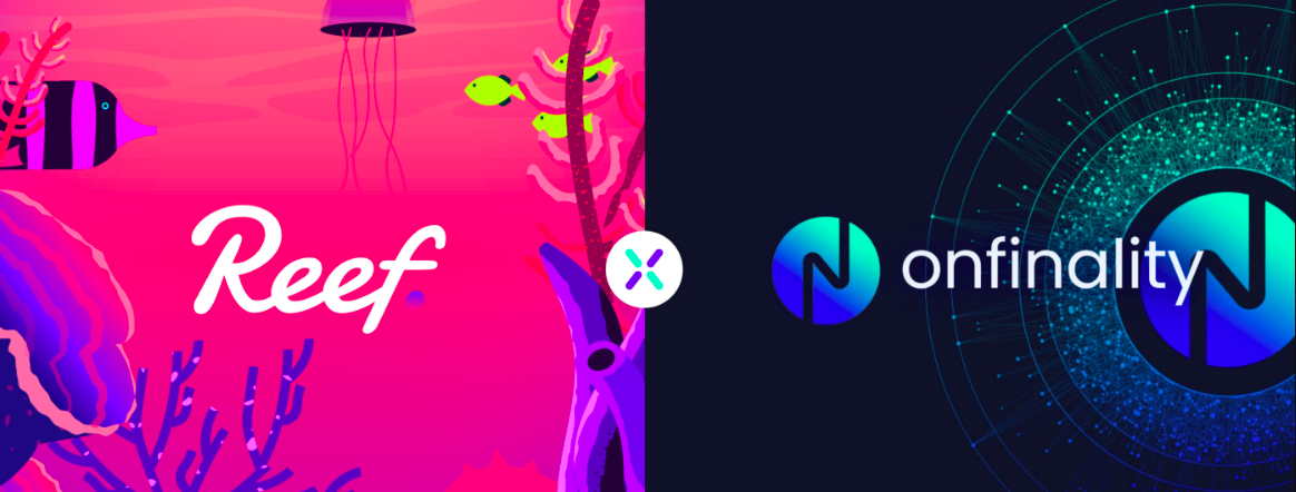 reef crypto news