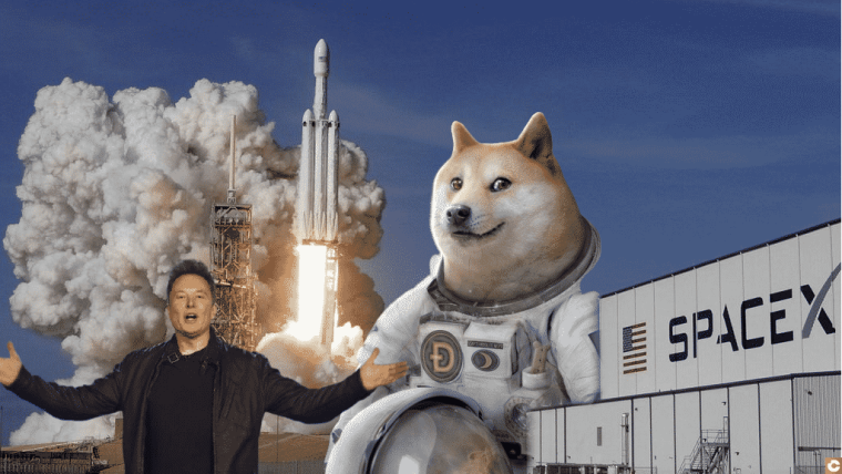 SpaceX Doge