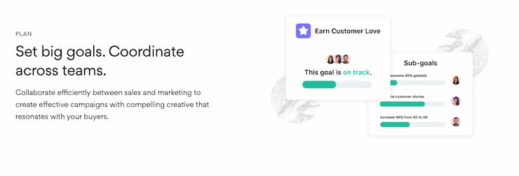 asana campaign management