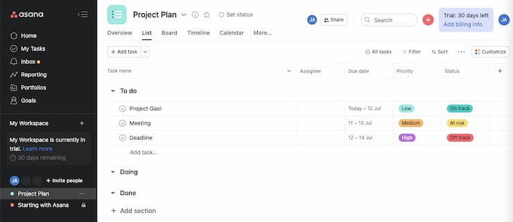 asana project plan