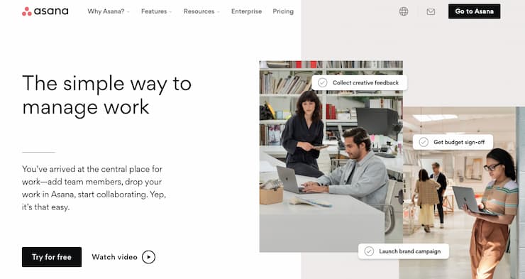 asana review
